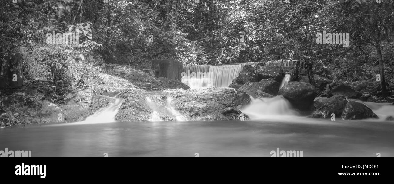 Fotografia in bianco e nero di foresta pluviale e alla cascata di riverside scenario preso nei parchi nazionali del Sarawak, Malaysia Foto Stock