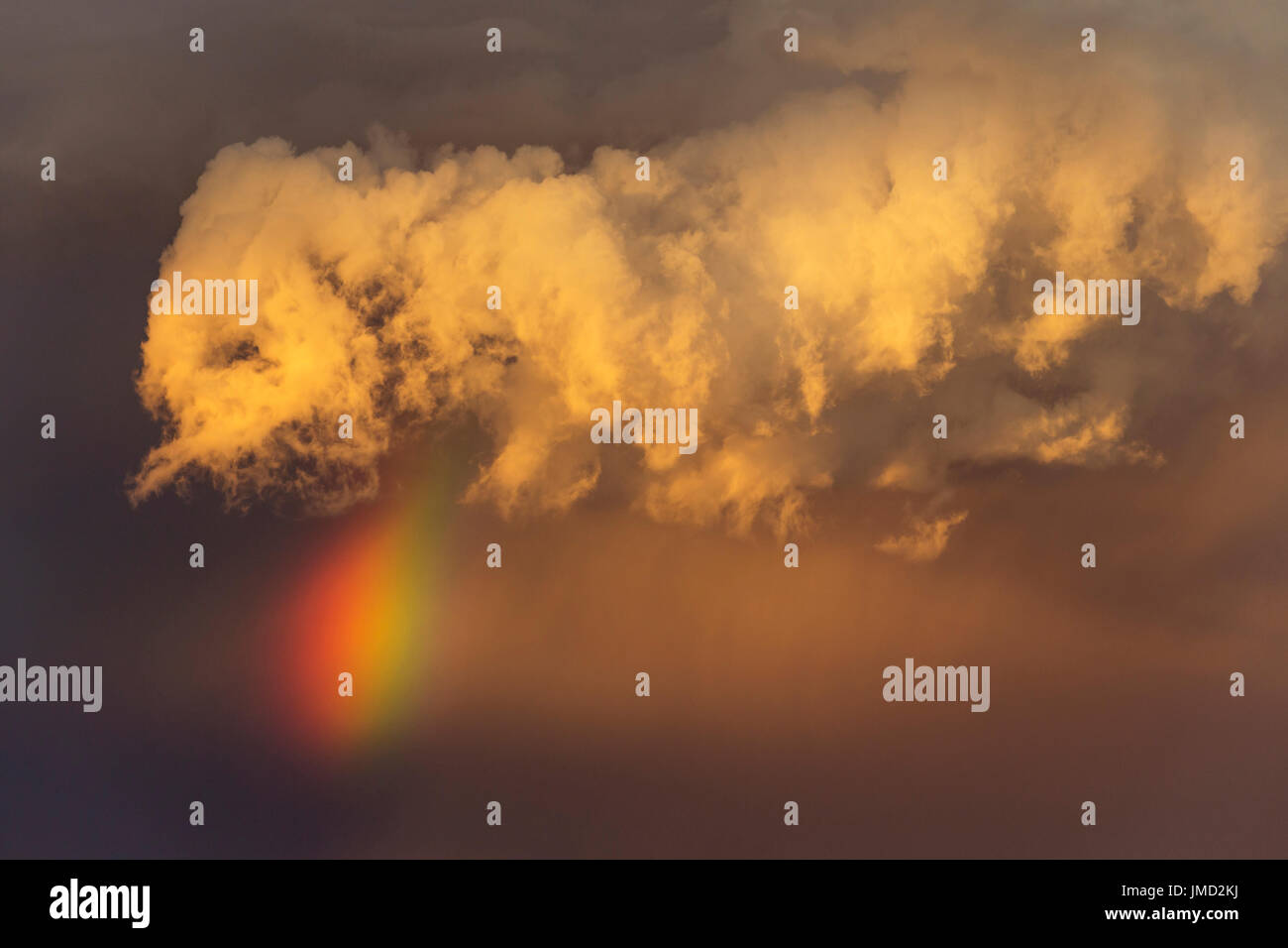 Sera temporale con Cumulonimbus cloud e rainbow con la coda al di sopra di una duna di sabbia. Durante la stagione delle piogge. Deserto Kalahari, Kgalagadi Parco transfrontaliero, Sud Africa. Foto Stock
