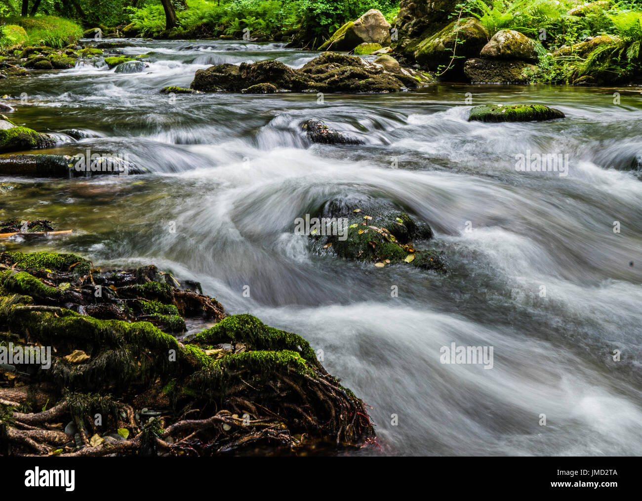 Fiume di Dartmoor Foto Stock