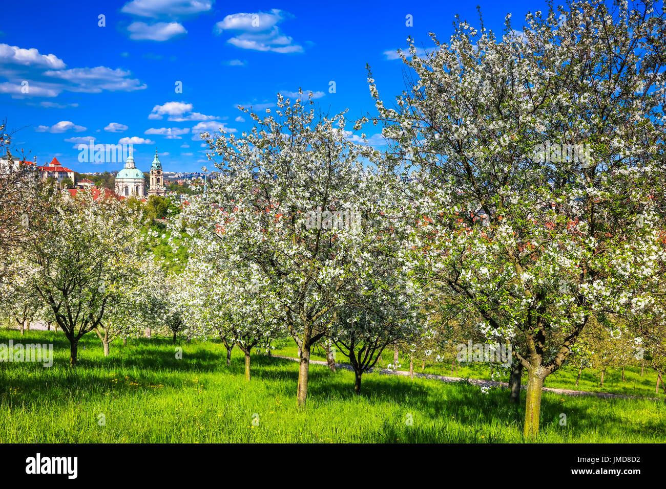 Europa, Repubblica Ceca, Cechia, Praga, Praha, UNESCO, Petrin, Panorama, la chiesa di San Nicola, Kostel Svateho Mikulase, Svaty Mikulas,Mala Strana Foto Stock