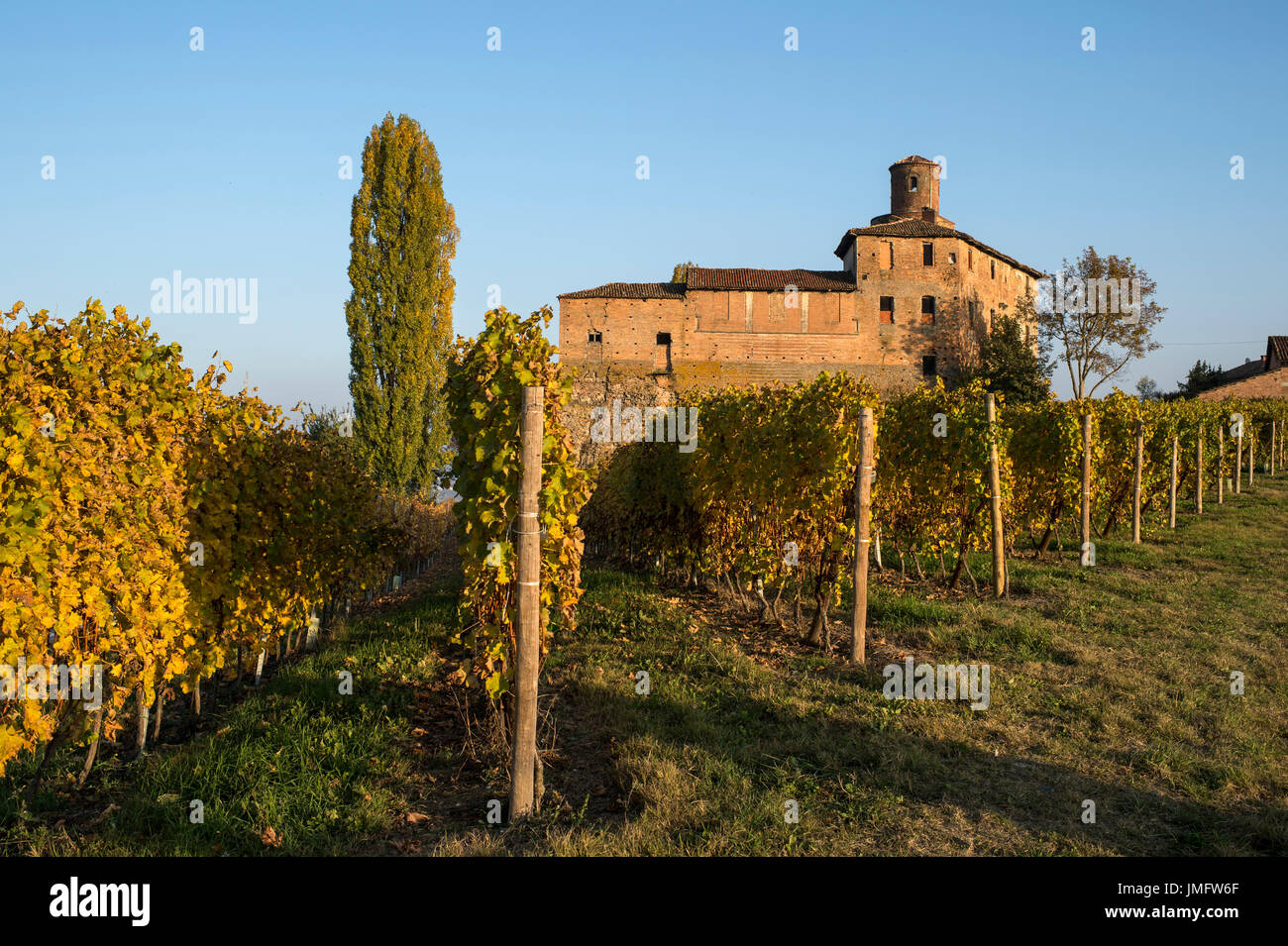 L'Italia, Piemonte, Langhe, vigneti attorno a Barolo in autunno Foto Stock