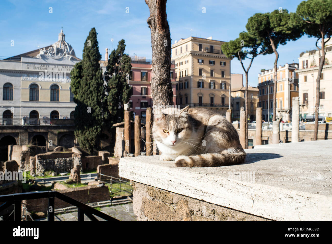 Italia Lazio Roma, Largo di Torre Argentina SQUARE Foto Stock