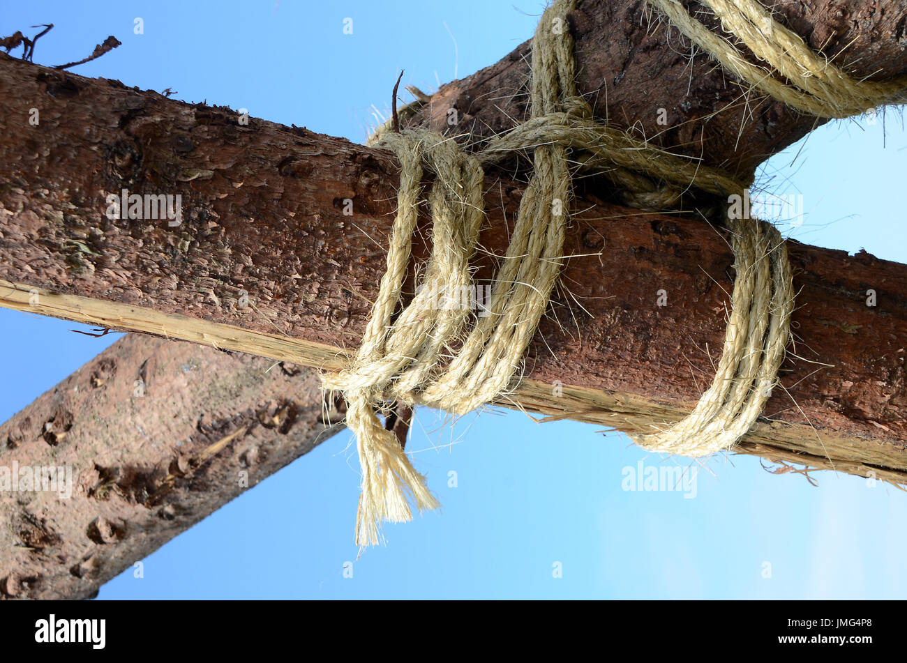 Spruce steli legati insieme scout-saggio con la corda. Foto Stock