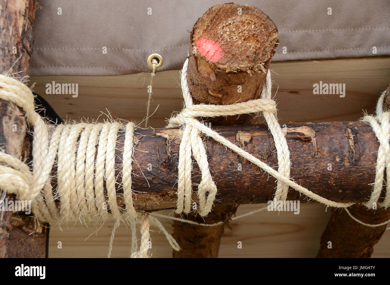 Spruce steli legati insieme scout-saggio con la corda. Foto Stock