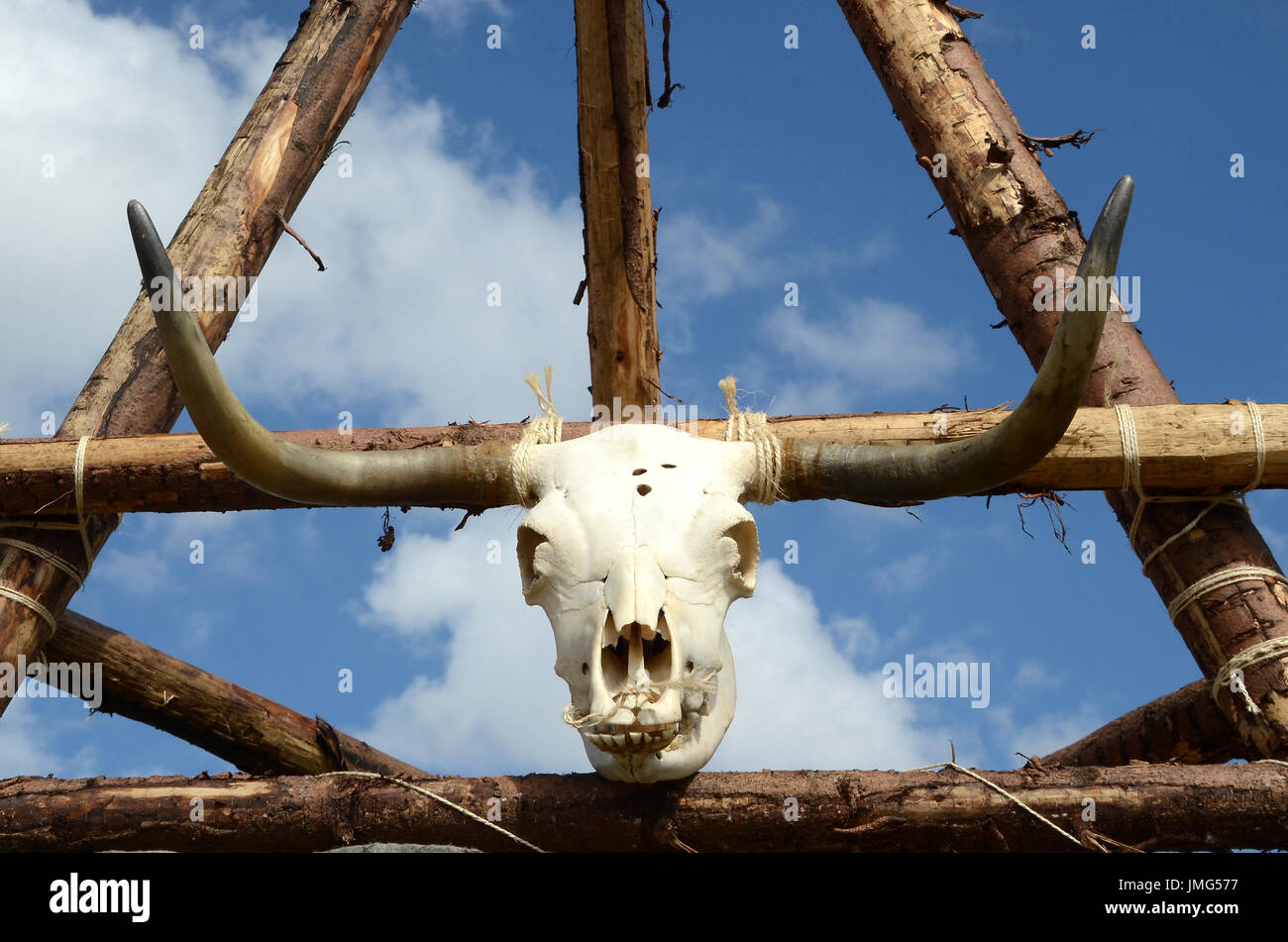 Spruce steli legati insieme scout-saggio con la corda in un portale struture portante un cranio di bestiame. Foto Stock