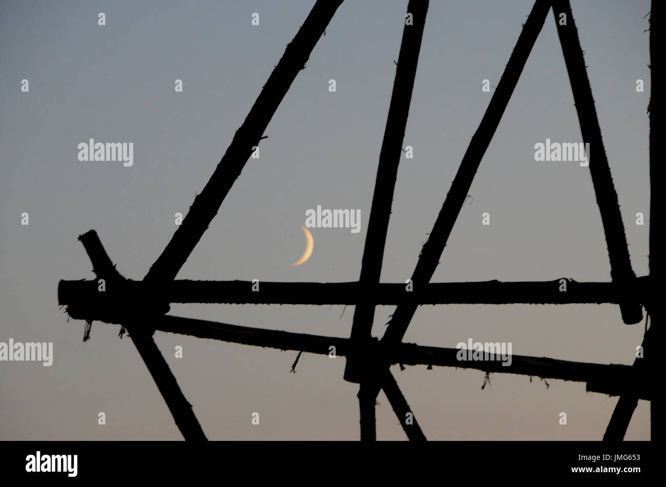 Spruce steli legati insieme scout-saggio con la corda in una torre-come struture visto in serata con un pallido cloud-sfocato Crescent Moon in background. Foto Stock