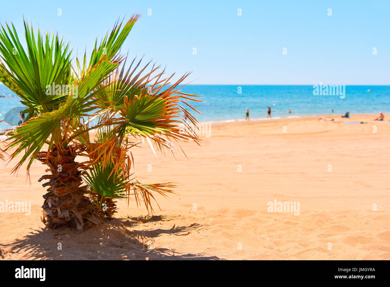 Una vista di una spiaggia tranquilla nel mar Mediterraneo con un albero di palma in primo piano e alcune persone non riconoscibili in background Foto Stock