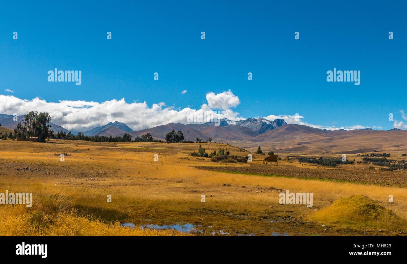 Le dolci colline che portano le montagne delle Ande del Perù Foto Stock