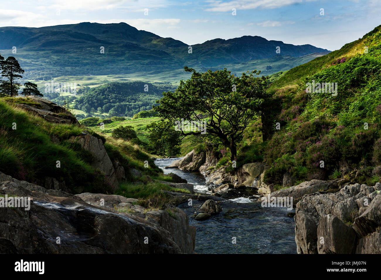 Vista sulle montagne Foto Stock