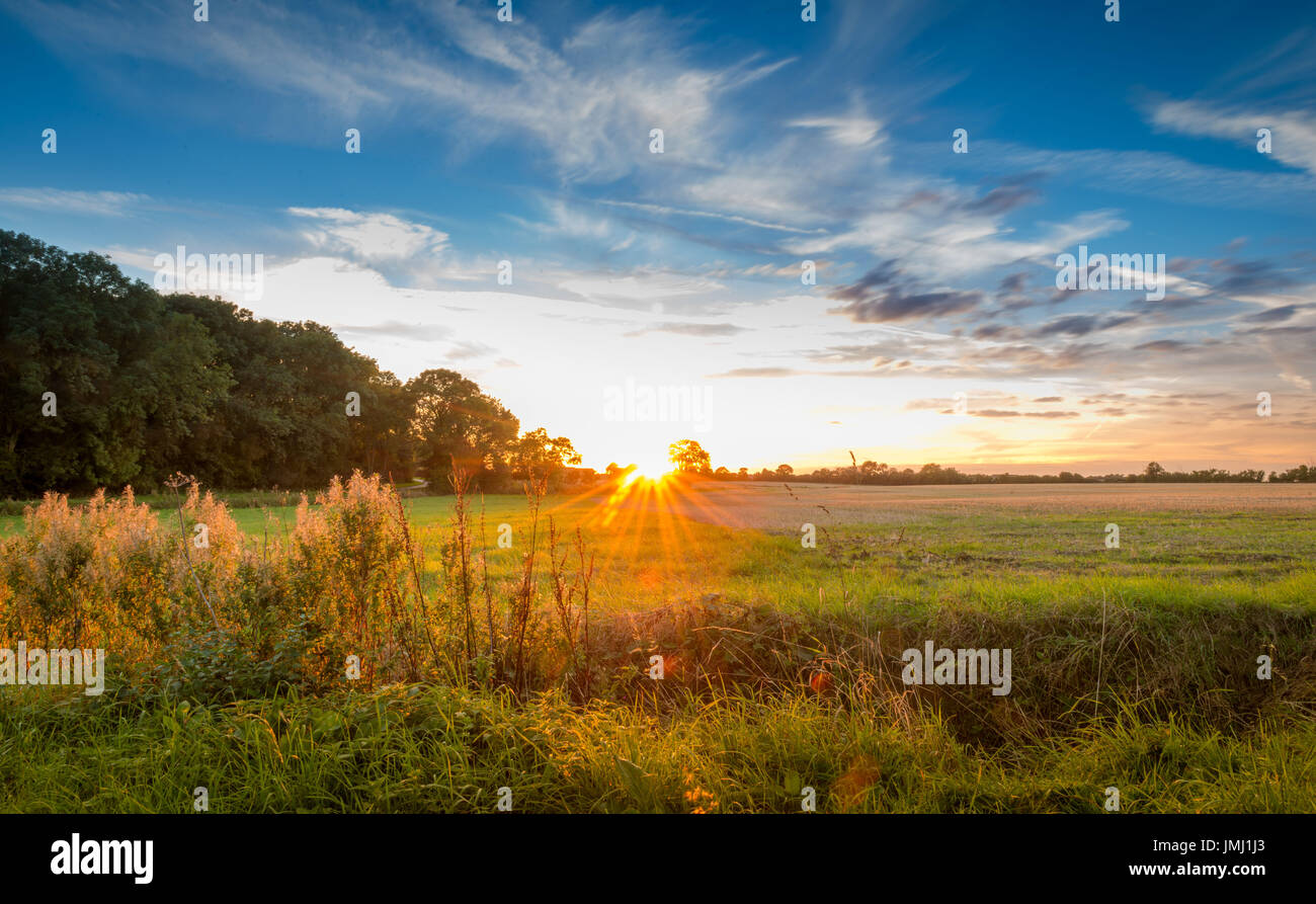 Un caldo tramonto segue alla fine di un tipico di una giornata estiva nel Lincolnshire campagna, vicino al piccolo villaggio di Aslackby, Lincolnshire, Regno Unito Foto Stock