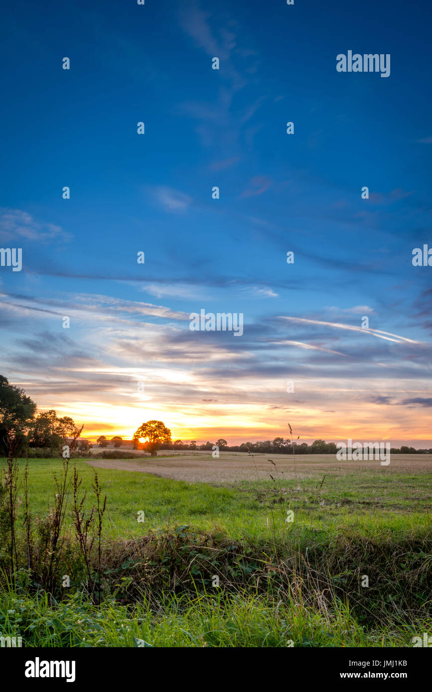 Un caldo tramonto segue alla fine di un tipico di una giornata estiva nel Lincolnshire campagna, vicino al piccolo villaggio di Aslackby, Lincolnshire, Regno Unito Foto Stock