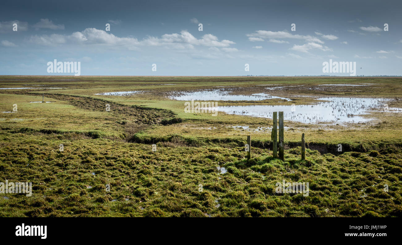 Le pianure costiere dell'Inghilterra forniscono alcune delle più grandi sale naturale paludi nel Regno Unito. Frampton Marsh sull'estuario del lavaggio in Lincolnshire Foto Stock