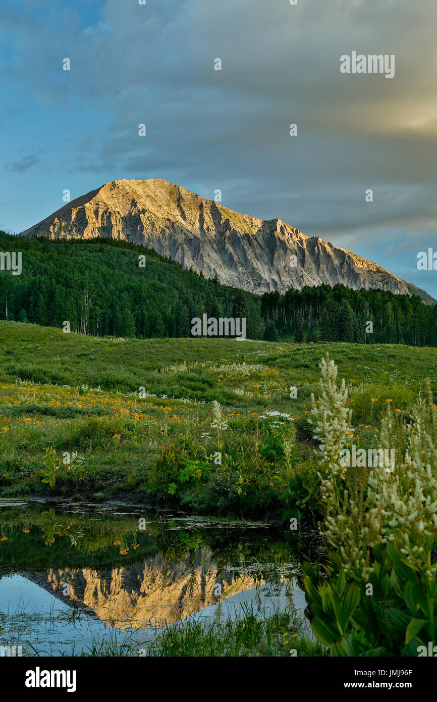 Montagna gotico (12,631 ft.) riflesso sul laghetto, la Foresta Nazionale di Gunnison, vicino a Crested Butte, Colorado, STATI UNITI D'AMERICA Foto Stock