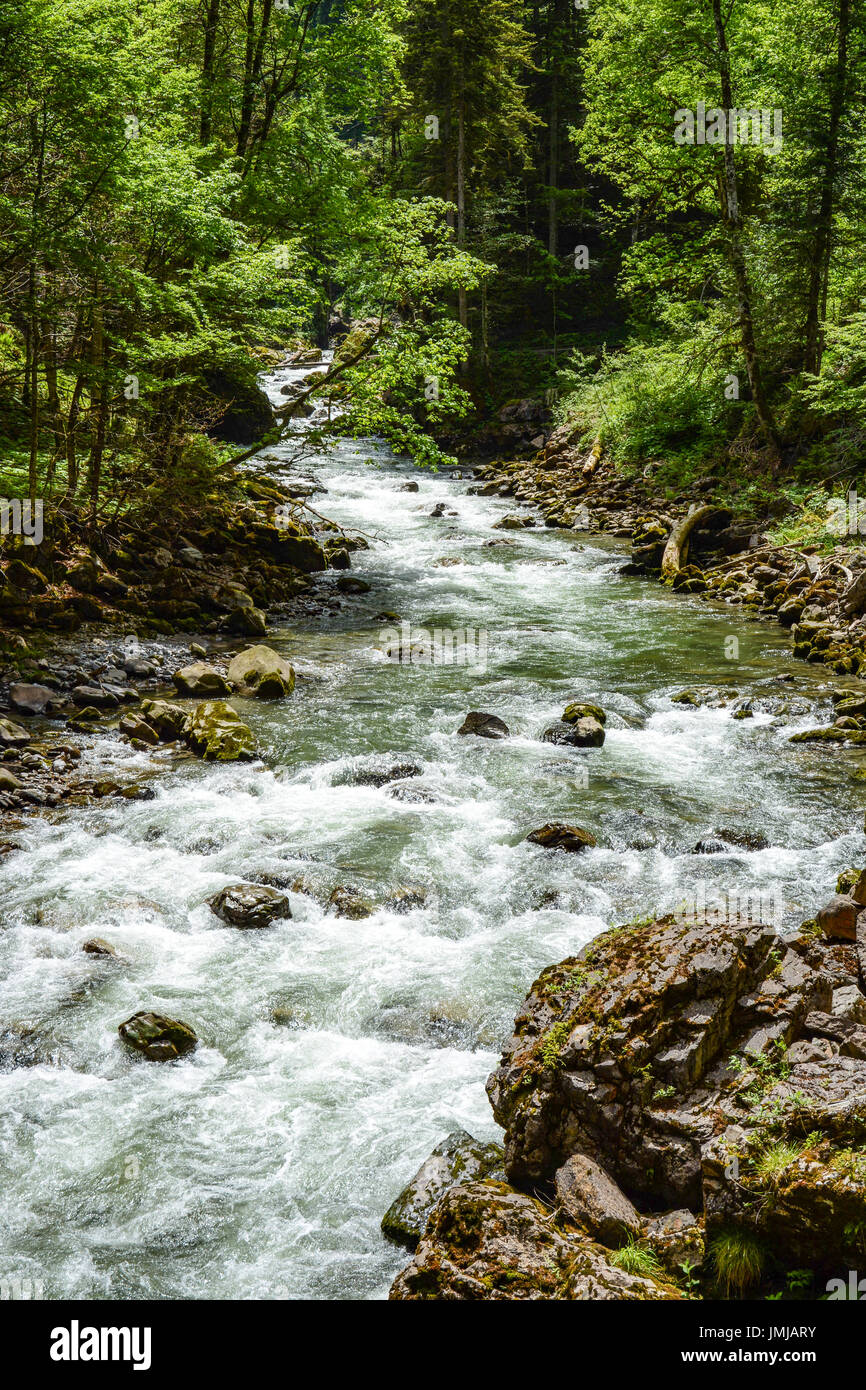 Il fiume selvaggio che fluisce attraverso il Breitachklamm Gorge Foto Stock