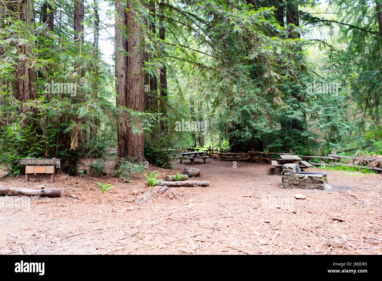 Area Picnic tra coppia coast redwood alberi nella vecchia chiesa di Grove in Redwoods Parco Regionale di Oakland, California, 26 maggio 2017. Foto Stock