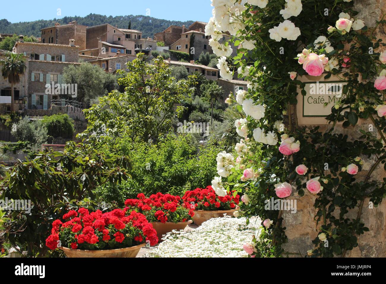 Mallorca, Deia, vista dalla terrazza di un caffè con rose e fiori che sbocciano al villaggio di Deia Foto Stock