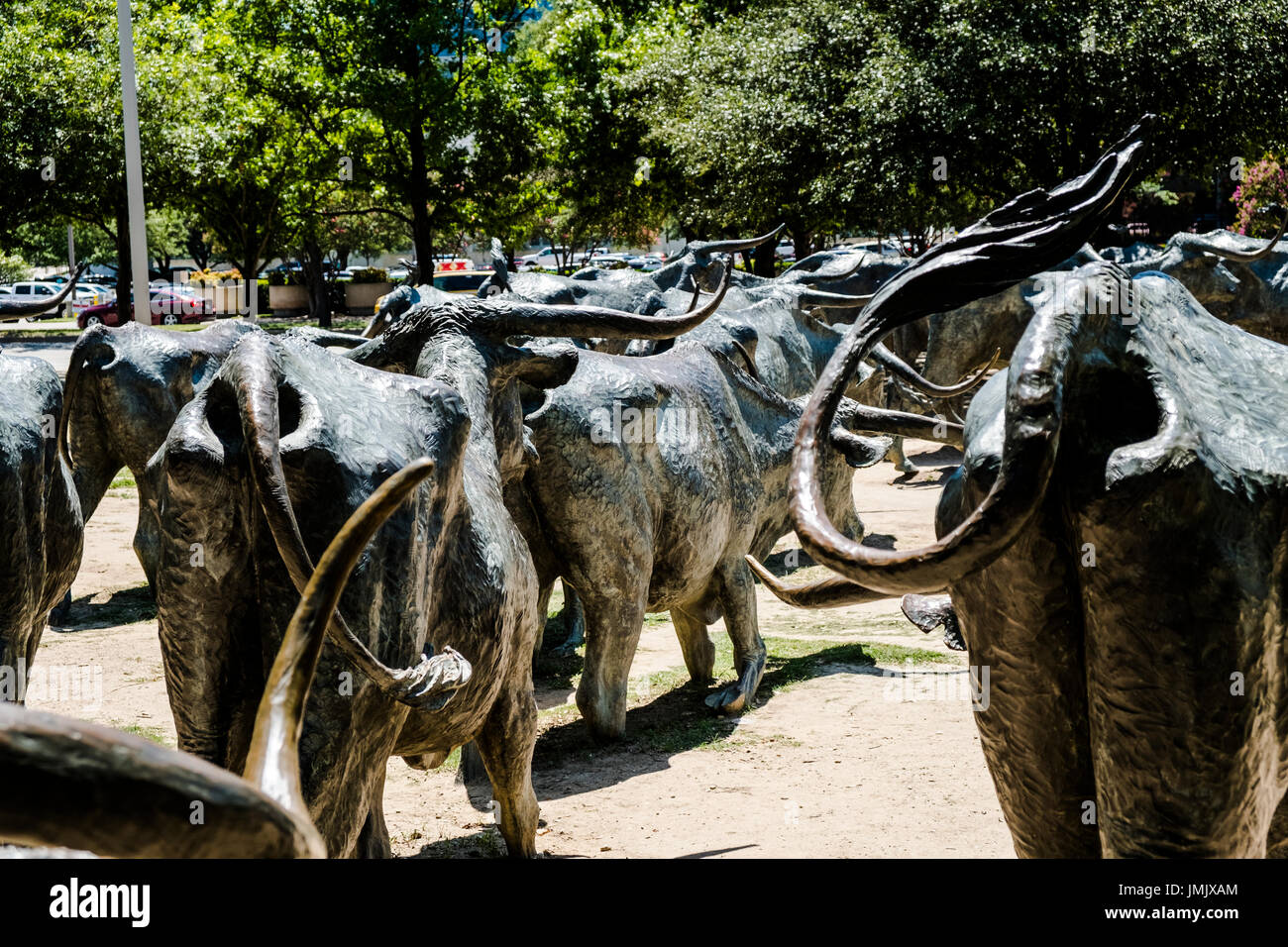 Una dimensione di vita il Cattle Drive in bronzo in Pioneer Park e il cimitero nel centro di Dallas, Texas. Foto Stock