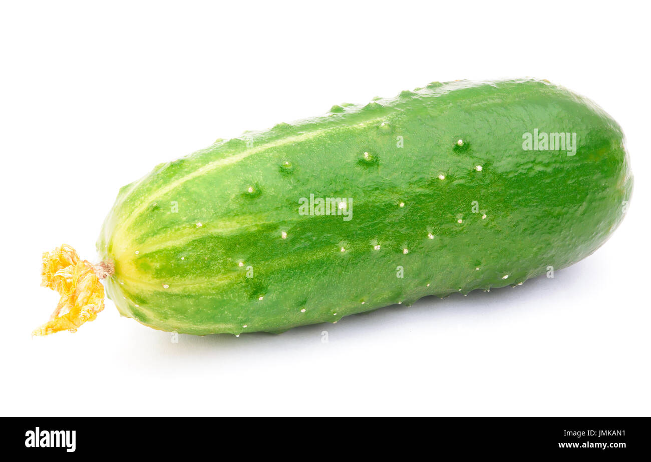 Il cetriolo isolati su sfondo bianco Foto Stock