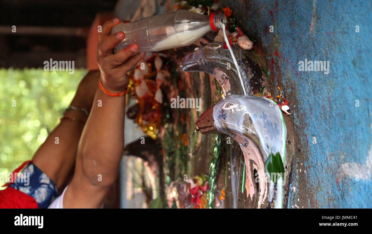 Kathmandu, Nepal. 28 Luglio, 2017. Devoti indù offrono latte di vacca di idolo di serpenti durante la celebrazione di Nag-Panchami, un festival indù per adorare il serpente divinità in Kathmandu, capitale del Nepal, 28 luglio 2017. Credito: Sunil Sharma/Xinhua/Alamy Live News Foto Stock