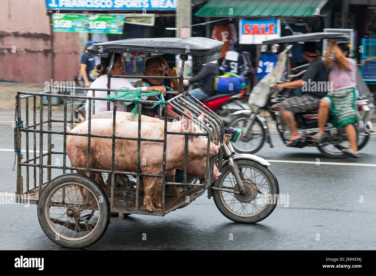 Taxi triciclo, con maiale, nel traffico, Angeles City, Pampanga, Filippine Foto Stock