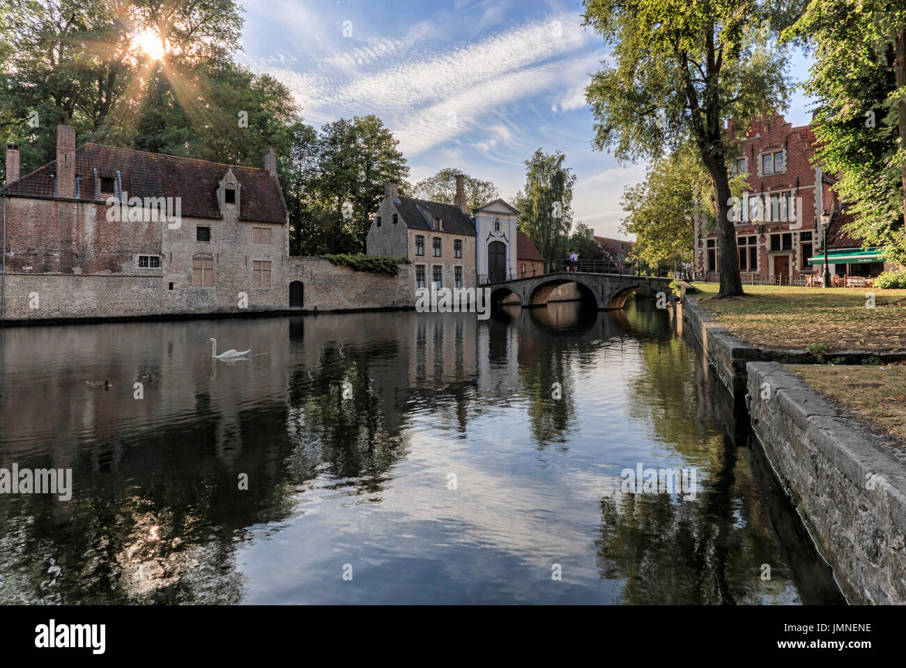 Vista panoramica del parco Minnewater con bellissimi cigni bianchi in serata primaverile in parte medievale di Bruges (Brugge), Belgio Foto Stock