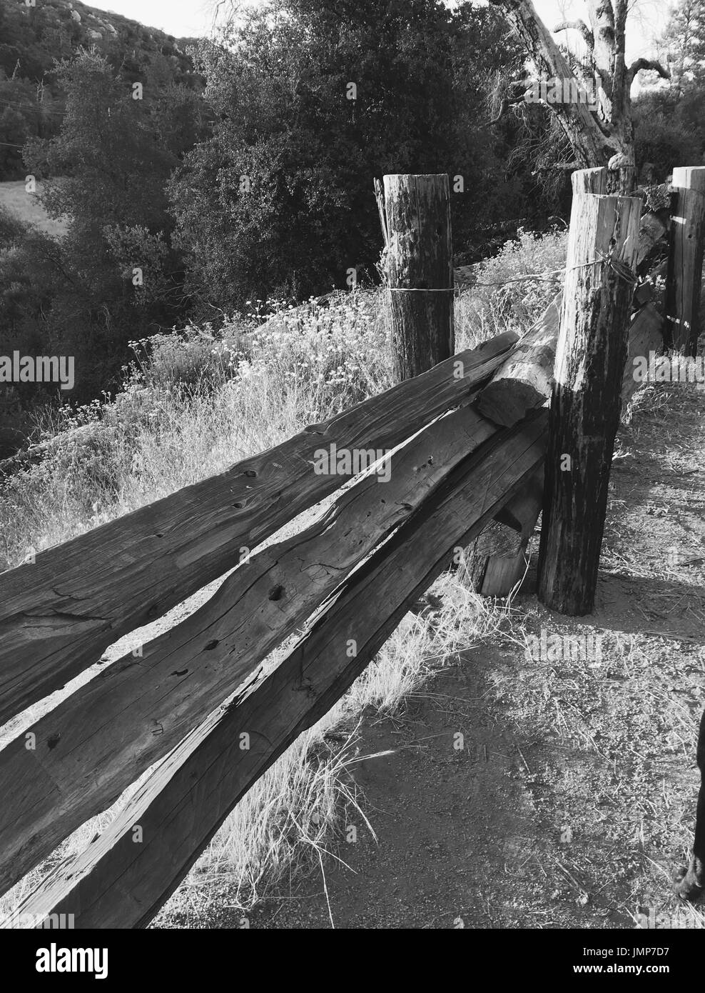 Valle Verde cade, Cuyamaca Rancho State Park, California Foto Stock