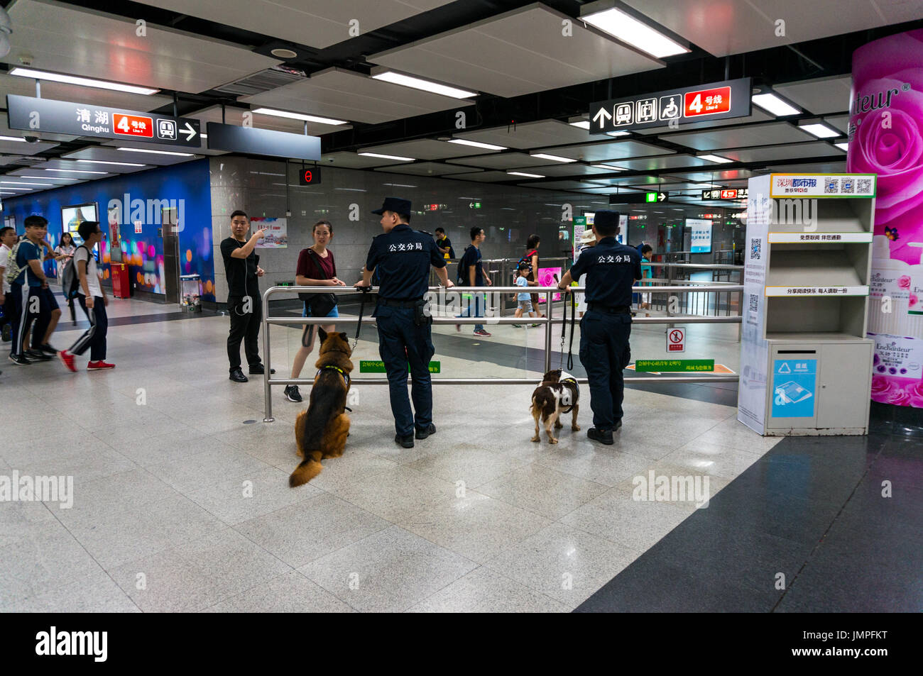 I cani di polizia sul dovere nella metropolitana di Shenzhen, Cina Foto Stock