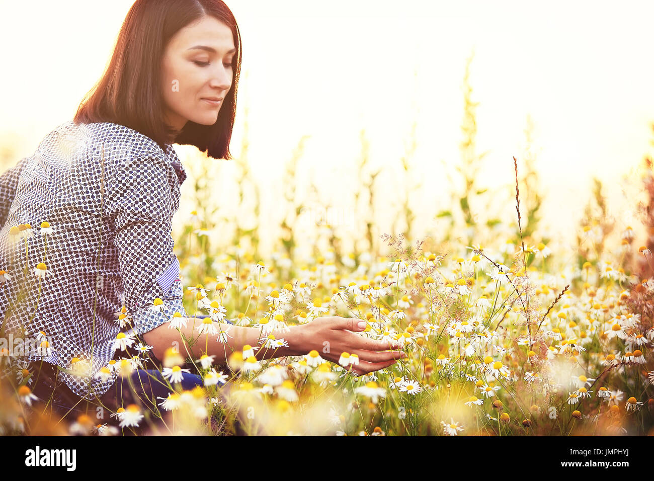 Donna di toccare i fiori selvatici. Ragazza di Felice Tiene chamomiles in serata. Foto Stock