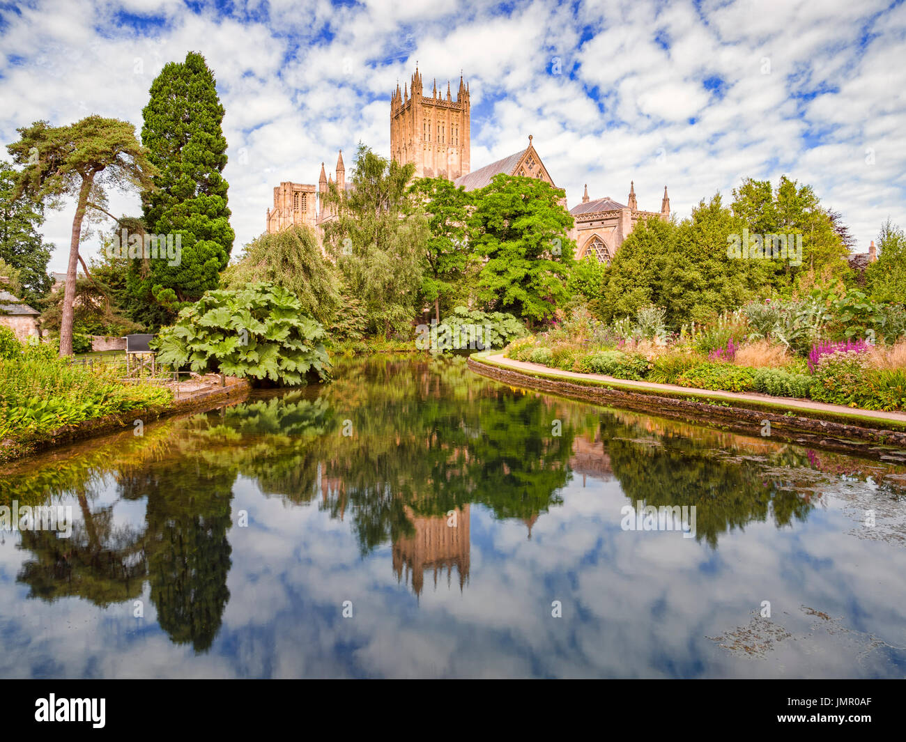 Cattedrale di Wells riflessa nelle piscine e nei giardini del Palazzo Vescovile, pozzi, Somerset, Inghilterra, Regno Unito. Foto Stock