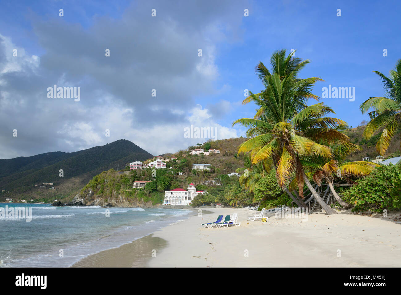 Spiaggia di sabbia e il Palm Tree, isola di Tortola, Isole Vergini Britanniche, Mar dei Caraibi Foto Stock