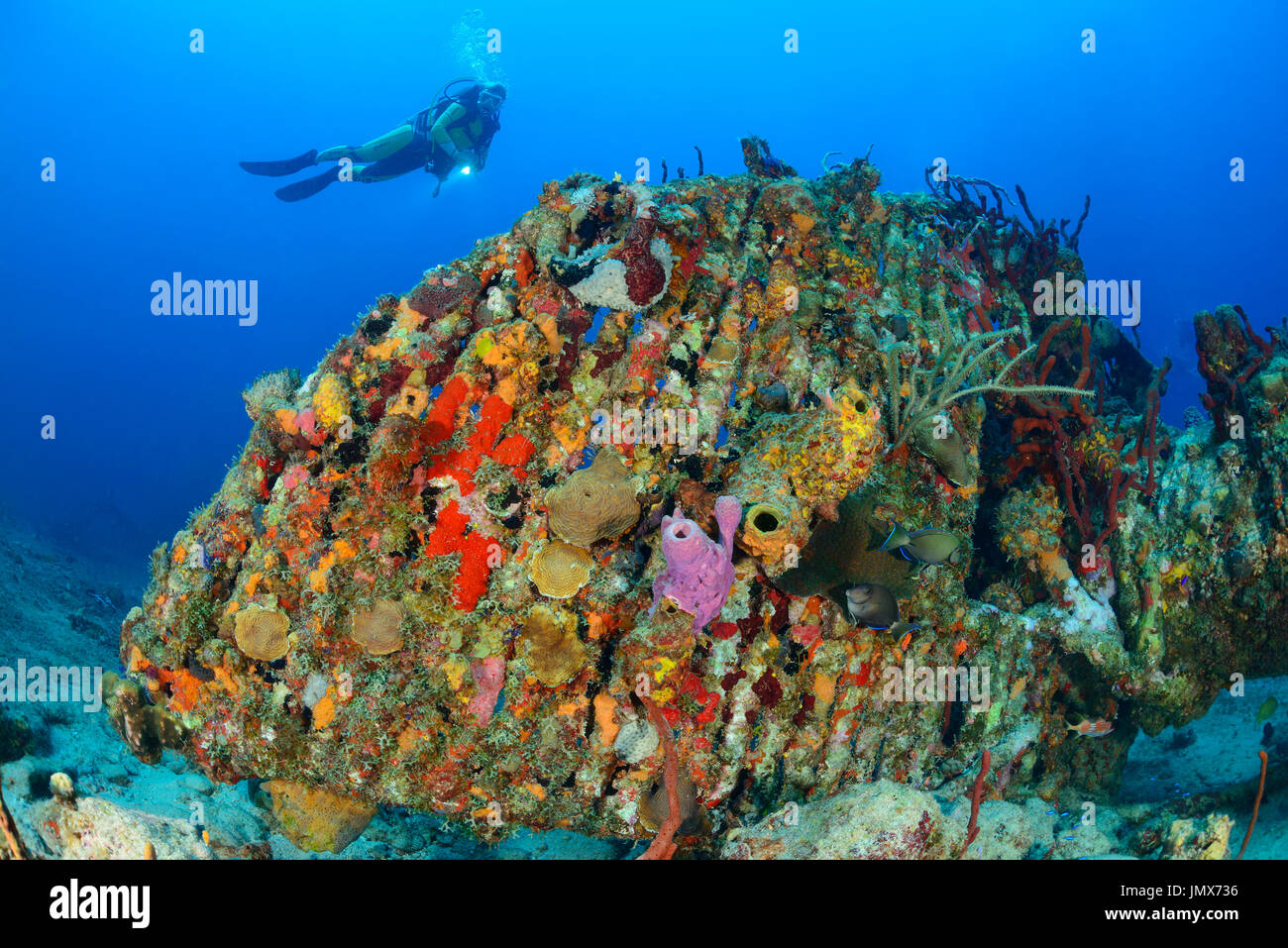 Shipreck Rhone e scuba diver, Virgin Gorda Isola, Isole Vergini Britanniche, Mar dei Caraibi Foto Stock
