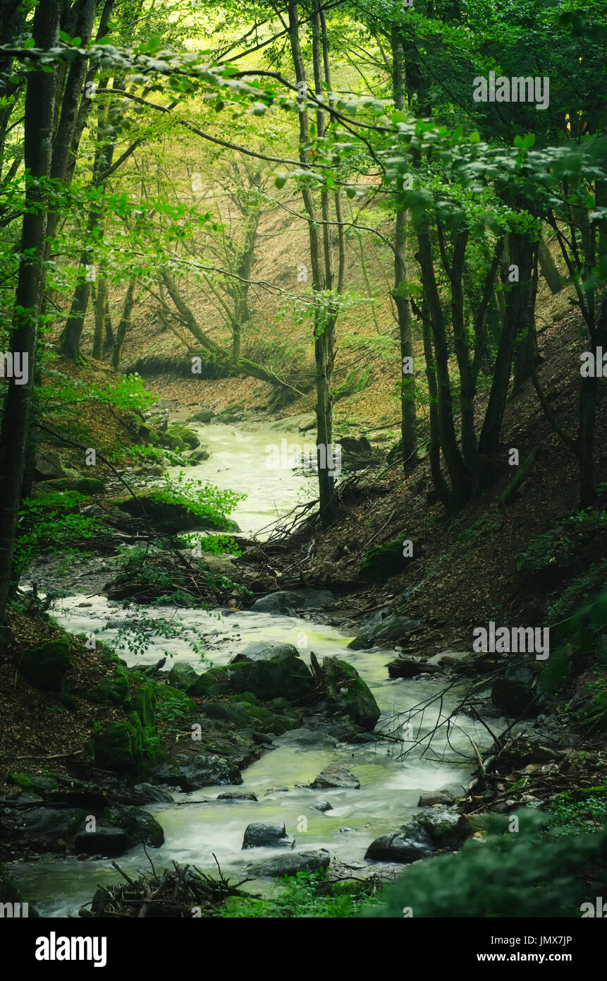Bendy fiume nel soleggiato verde foresta naturale Foto Stock