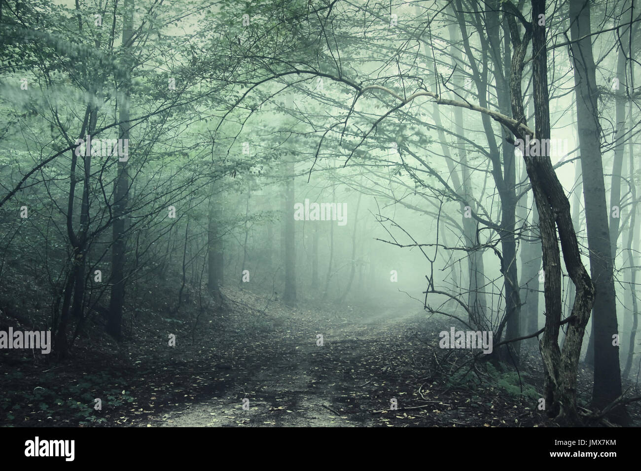 Scary percorso nella foresta di fantasia Foto Stock