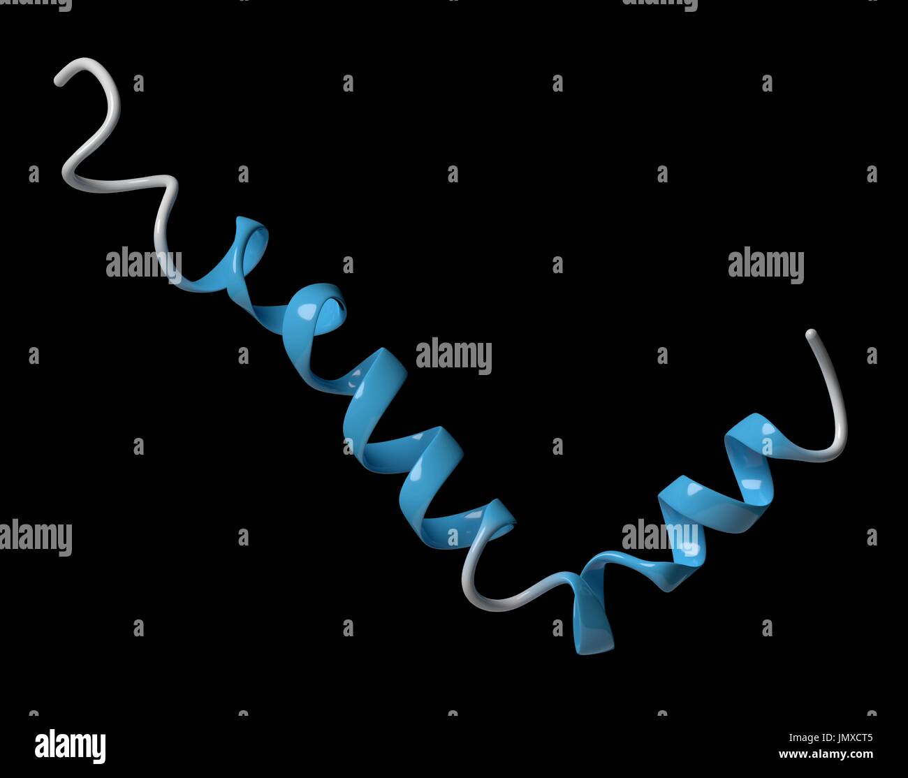 Beta amiloide (Abeta peptide). Componente principale delle placche trovati nella malattia di Alzheimer. Modello di Cartoon, la struttura secondaria di colorazione eliche (blu). Foto Stock