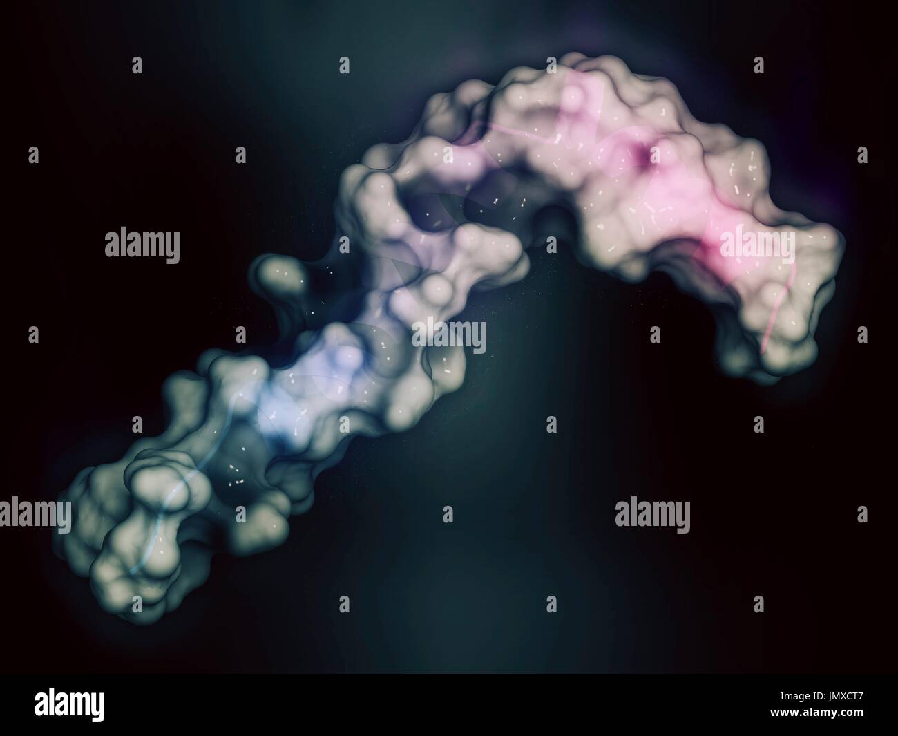 Beta amiloide (Abeta peptide). Componente principale delle placche trovati nella malattia di Alzheimer. Combinazione stilizzata di un semi-trasparente modello di superficie con un cartone animato di rappresentanza. Cartoon: gradiente coloranti (N-terminus blu, C-terminus rosa). Foto Stock
