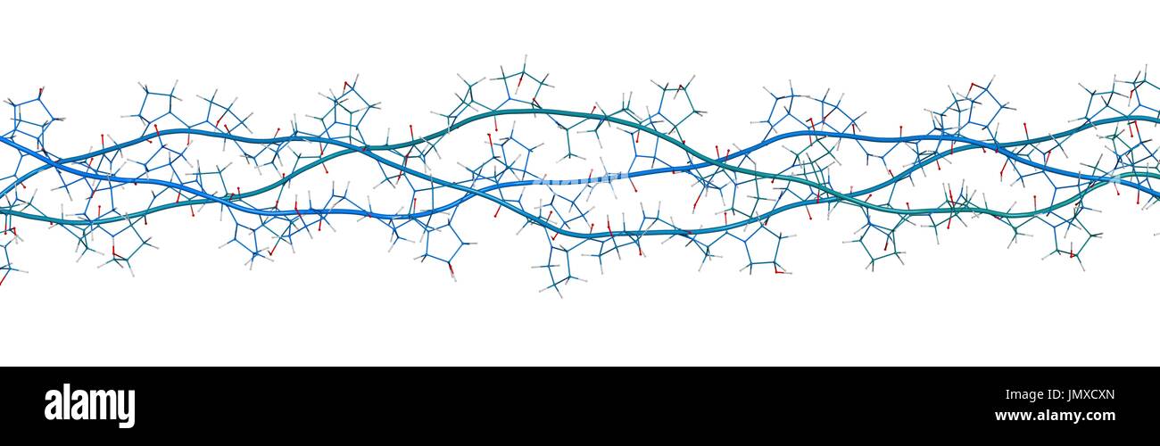 Modello di collagene proteina, struttura chimica. Componente fondamentale di pelle, ossa, capelli, tessuto connettivo, ecc. Combinati wireframe e cartoon modello. Cartoon e atomi di carbonio: backbone gradiente (colorazione blu-teal); altri atomi: convenzionale la codifica a colori. Foto Stock