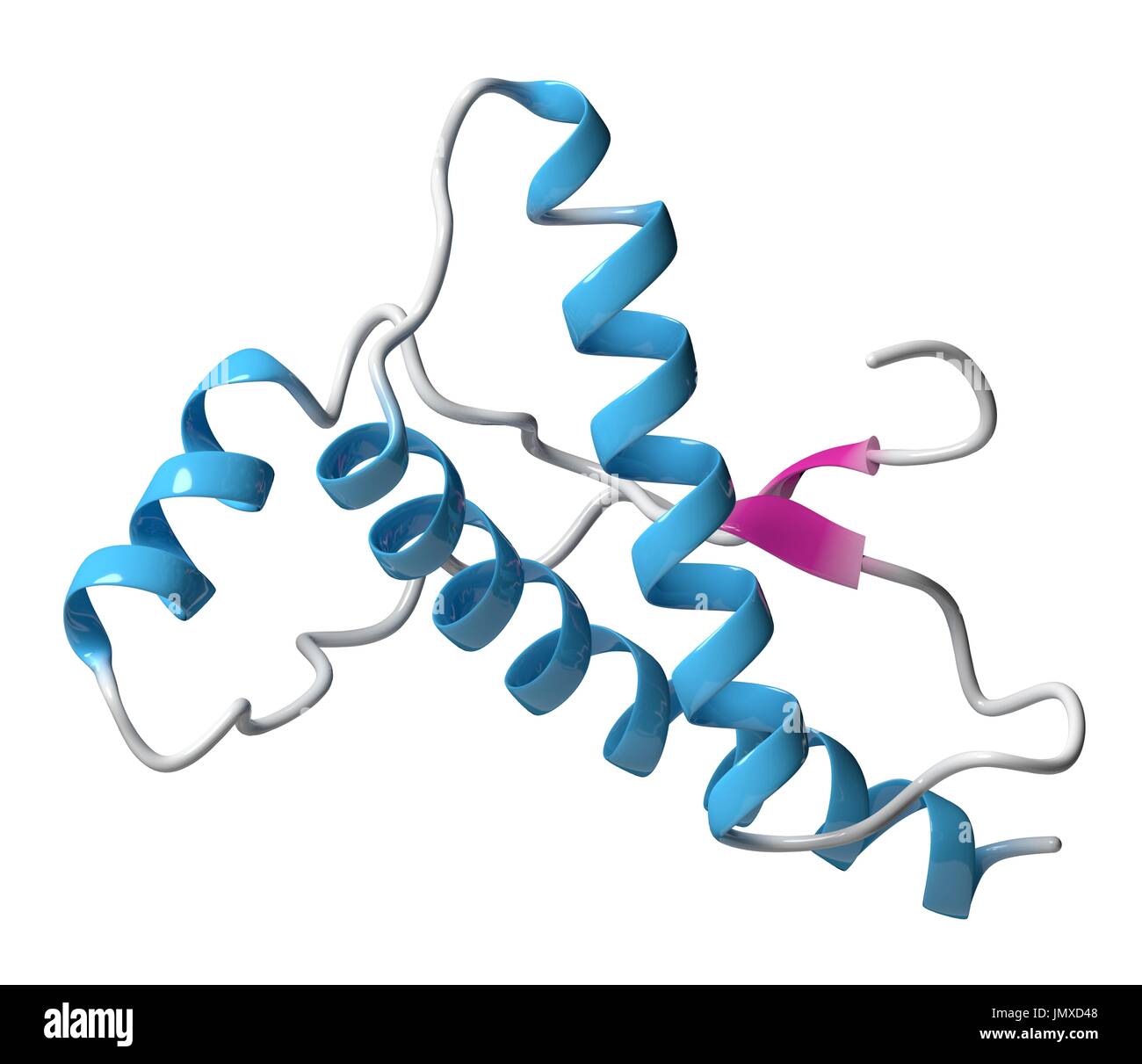 Umano proteina prionica (hPrP). Associata con malattie neurodegenerative, compreso il kuru, la BSE e la malattia di Creutzfeldt-Jakob. Modello di Cartoon, la struttura secondaria di colorazione eliche (blu, fogli rosa). Foto Stock