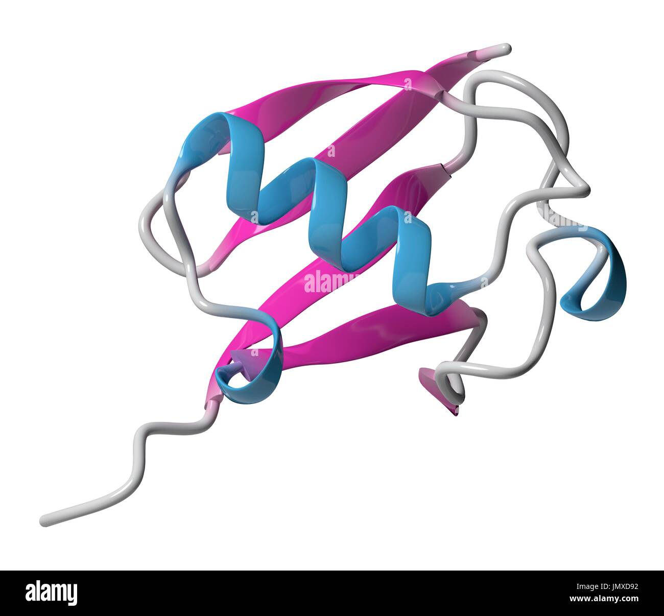 La proteina ubiquitina molecola. Marcatura molecolare che indica le proteine contrassegnate per il riciclaggio. Modello di Cartoon, la struttura secondaria di colorazione eliche (blu, fogli rosa). Foto Stock