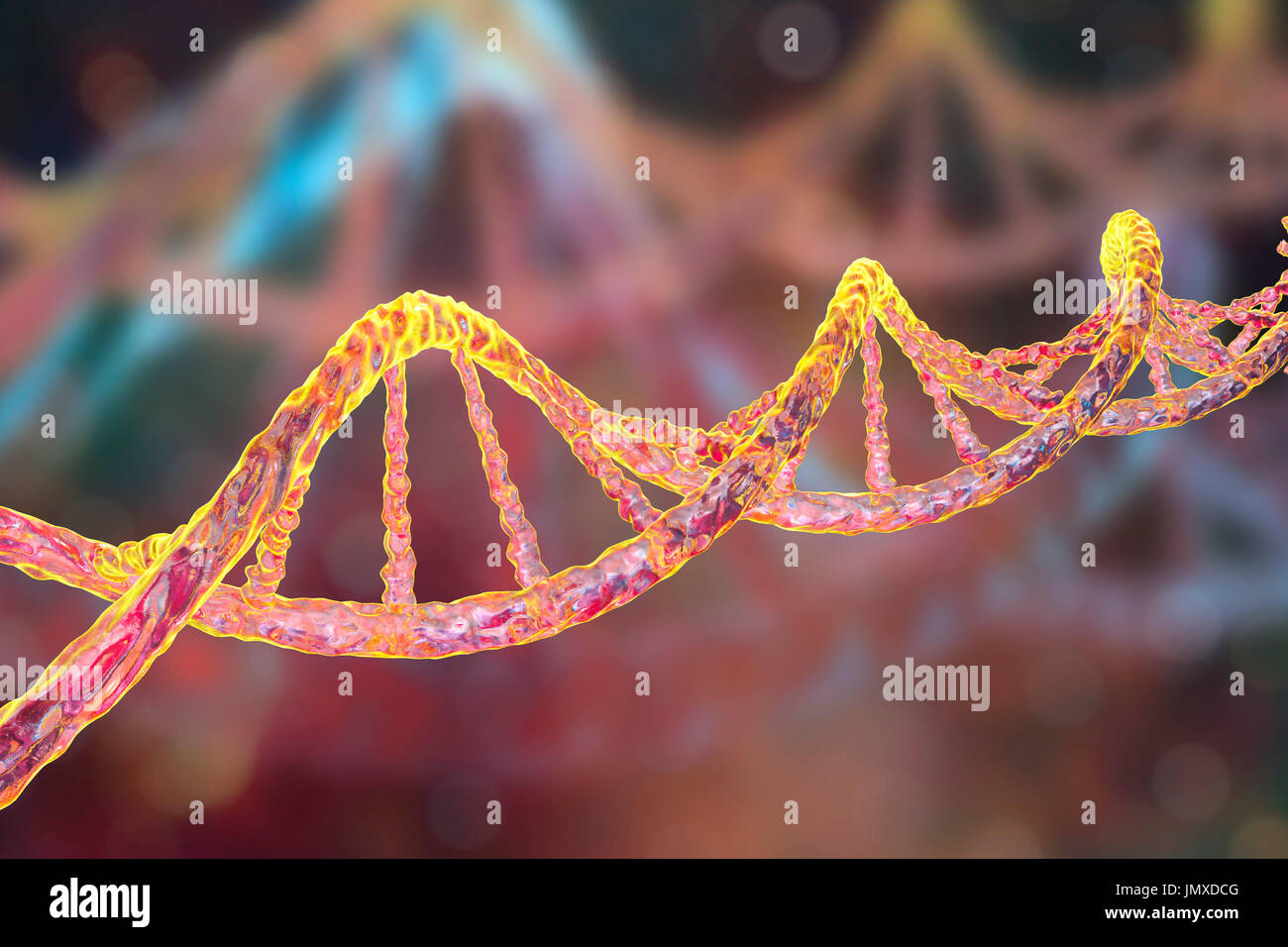 Molecola di DNA, computer grafica. La molecola di DNA (acido desossiribonucleico) è costituito da una lunga doppia elica di fosfati e di zuccheri, collegate da coppie di basi nucleotidiche (palle e stecche). Queste coppie di base di nucleotide formano i gradini della scala a spirale visto qui. La sequenza di queste coppie di base formano il codice genetico che è alla base di tutte le forme di vita sulla terra. Un individuo sequenza genetica controlla la loro crescita e il loro sviluppo, e si è passati ai loro figli. Variazioni nella sequenza genetica nel corso di milioni di anni di evoluzione hanno prodotto la diversità della vita sulla terra. Foto Stock