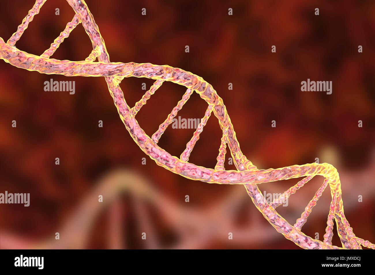 Molecola di DNA, computer grafica. La molecola di DNA (acido desossiribonucleico) è costituito da una lunga doppia elica di fosfati e di zuccheri, collegate da coppie di basi nucleotidiche (palle e stecche). Queste coppie di base di nucleotide formano i gradini della scala a spirale visto qui. La sequenza di queste coppie di base formano il codice genetico che è alla base di tutte le forme di vita sulla terra. Un individuo sequenza genetica controlla la loro crescita e il loro sviluppo, e si è passati ai loro figli. Variazioni nella sequenza genetica nel corso di milioni di anni di evoluzione hanno prodotto la diversità della vita sulla terra. Foto Stock