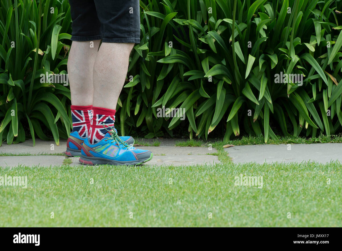 Uomo che indossa pantaloncini, formatori e union jack calze in un giardino inglese. Regno Unito Foto Stock
