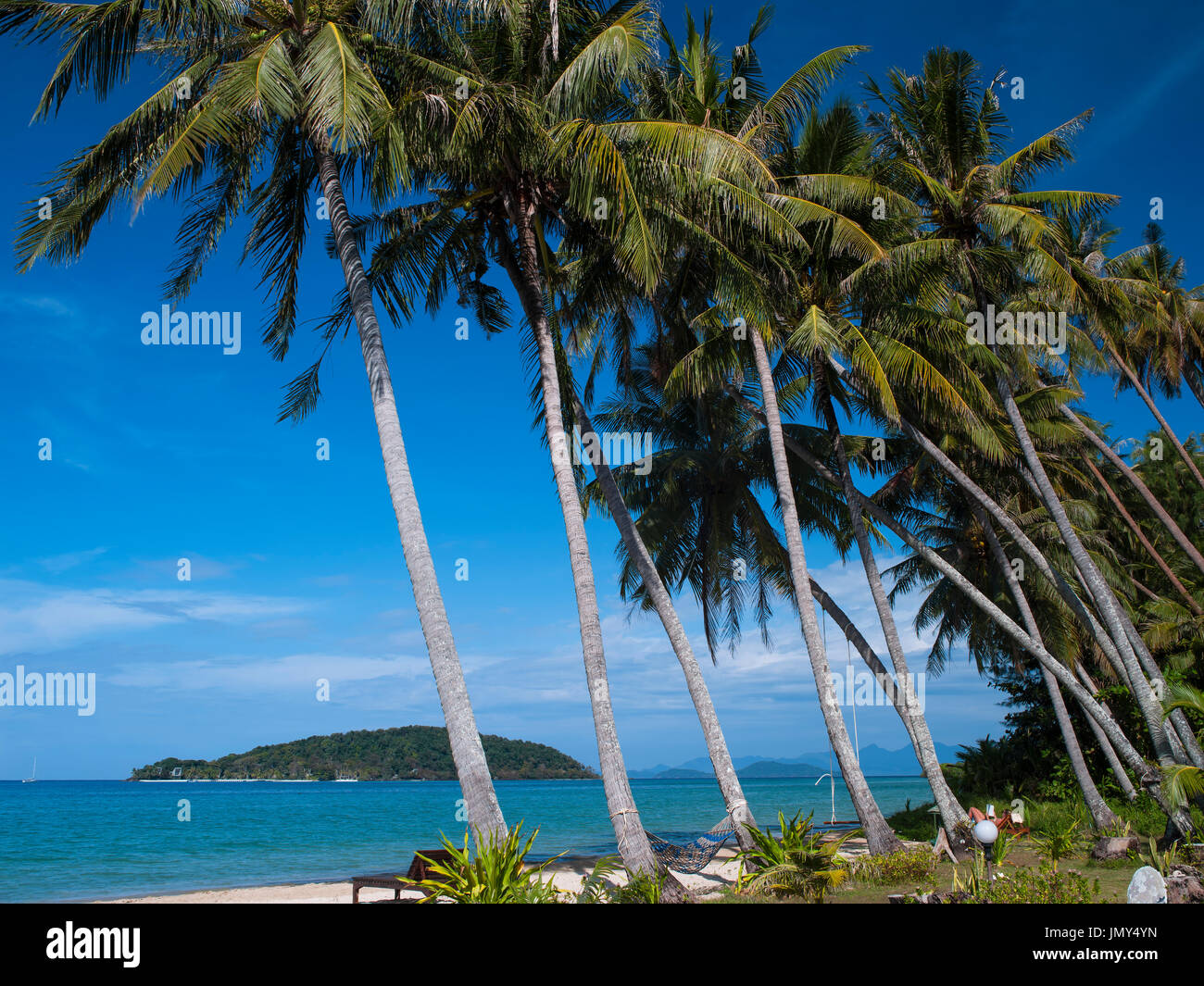 Arte della palma da cocco sulla spiaggia tempo di felicità Foto Stock