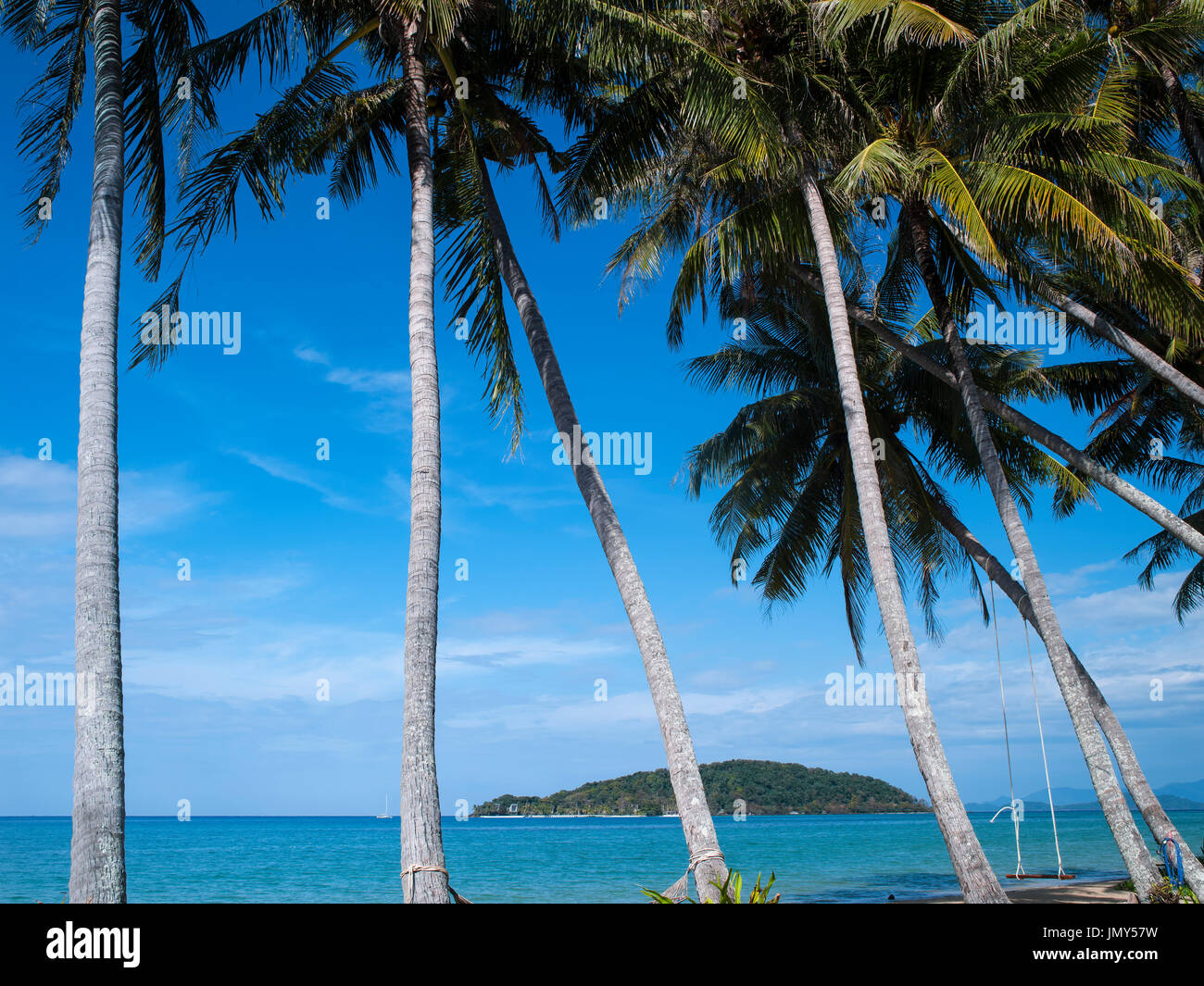 Arte della palma da cocco sulla spiaggia tempo di felicità Foto Stock
