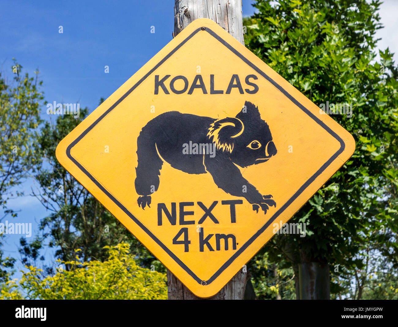 Simbolo giallo di avvertimento per i koala attraversando la strada, Australia Foto Stock