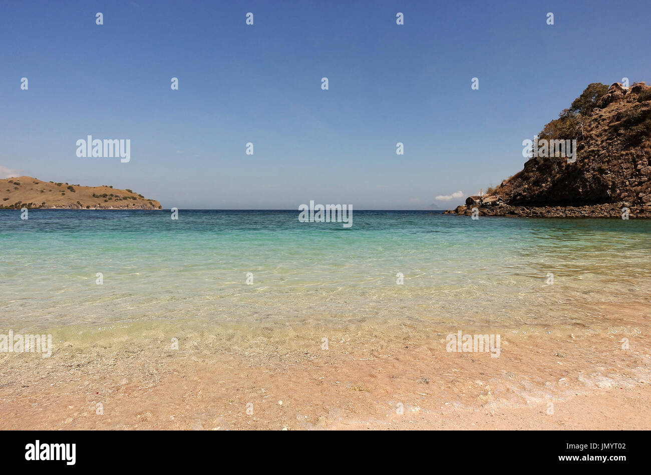 Rosa tropicale sulla spiaggia di sabbia in Flores causato da pezzi di rotture di rosso di colore rosa corallo nell'oceano durante il giorno. Foto Stock
