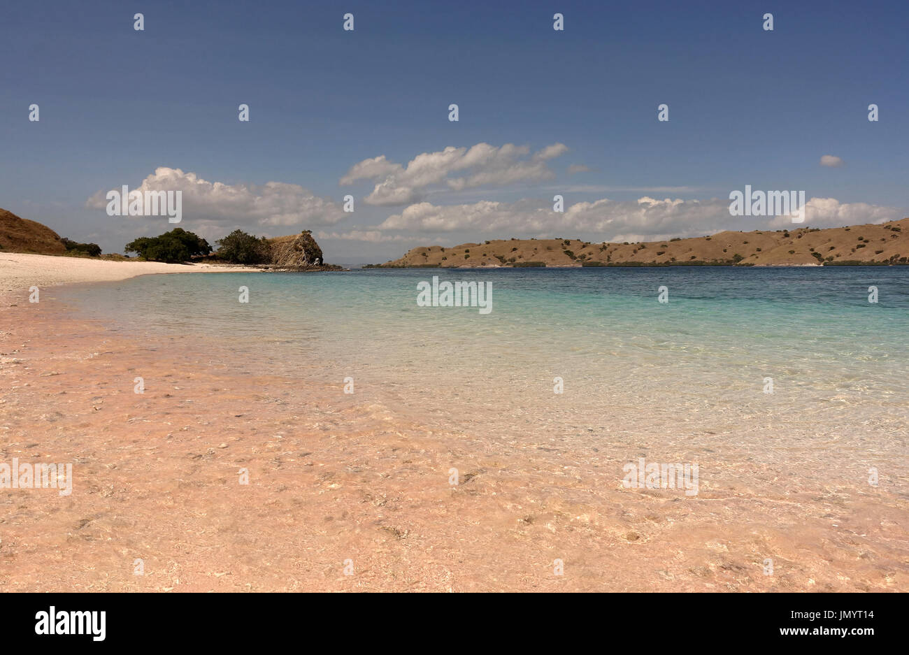 Rosa tropicale sulla spiaggia di sabbia in Flores causato da pezzi di rotture di rosso di colore rosa corallo nell'oceano durante il giorno. Foto Stock