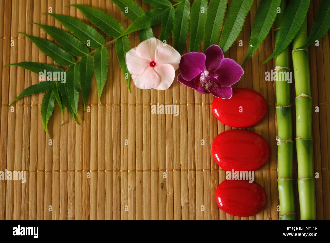 Rami di bambù e il fogliame rosso con ciottoli disposti in stile zen e fiori orchidee su sfondo di legno Foto Stock