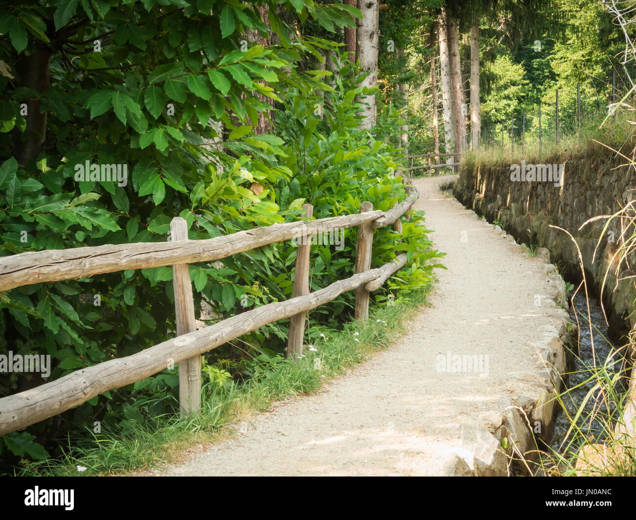 Idilliaco sentiero escursionistico con ringhiere e piccolo flusso di irrigazione attraverso un bosco sopra la città di Merano in Alto Adige. Foto Stock