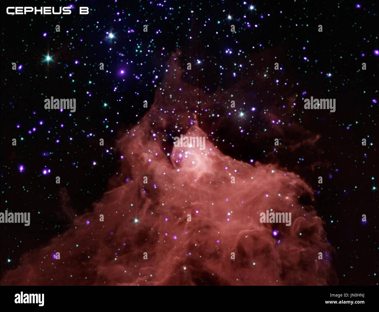 Questa immagine composita, creato utilizzando i dati forniti dall'osservatorio a raggi X Chandra e il telescopio spaziale Spitzer, mostra la nube molecolare Cefeo B, situato nella nostra galassia circa 2400 anni luce dalla Terra. Una nube molecolare è una regione contenente raffreddare gas interstellare e di polvere lasciata oltre la formazione della galassia e contiene soprattutto idrogeno molecolare. I dati di Spitzer, in rosso, verde e blu mostra la nube molecolare (nella parte inferiore dell'immagine) più giovani stelle in ed intorno a Cefeo B, e i dati di Chandra in viola mostra le giovani stelle nel campo. Le osservazioni di Chandra al Foto Stock