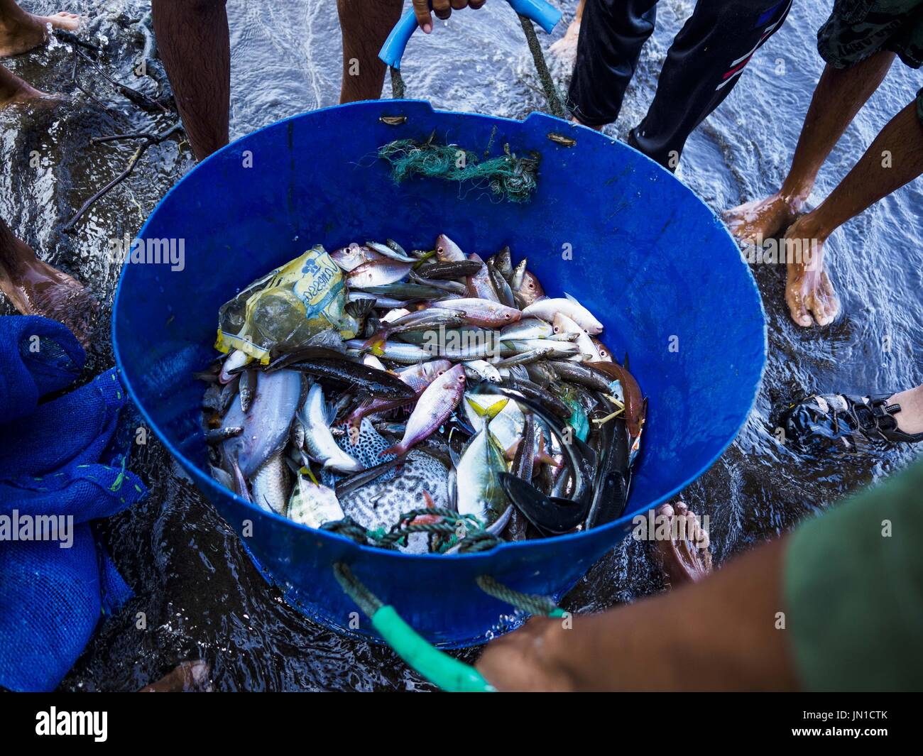 Airkuning, Bali, Indonesia. 29 Luglio, 2017. Una giornata di catture tirato da una rete stabiliti dai pescatori in Kuning, un musulmano villaggio di pescatori sull'angolo sud-ovest di Bali. Gli abitanti di un villaggio detto loro regolare delle catture di pesce è stato in diminuzione per diversi anni e che sono alcune mattine che tornano a riva con aver catturato un pesce. Credit: Jack Kurtz/ZUMA filo/Alamy Live News Foto Stock